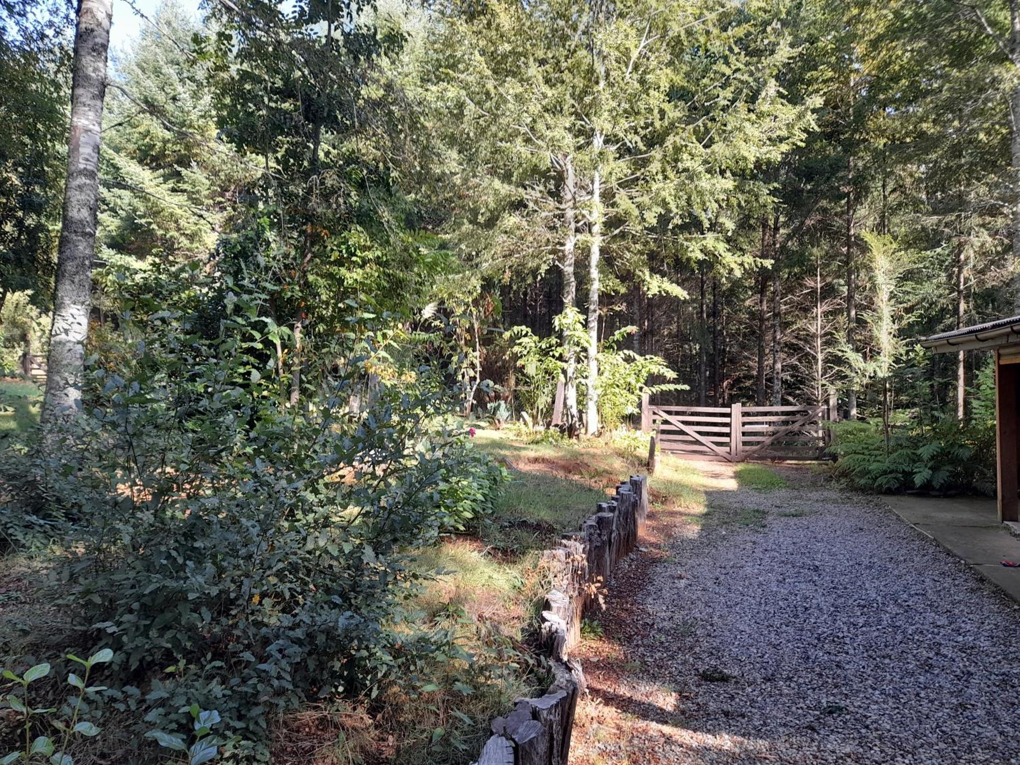 Relun L Villarrica