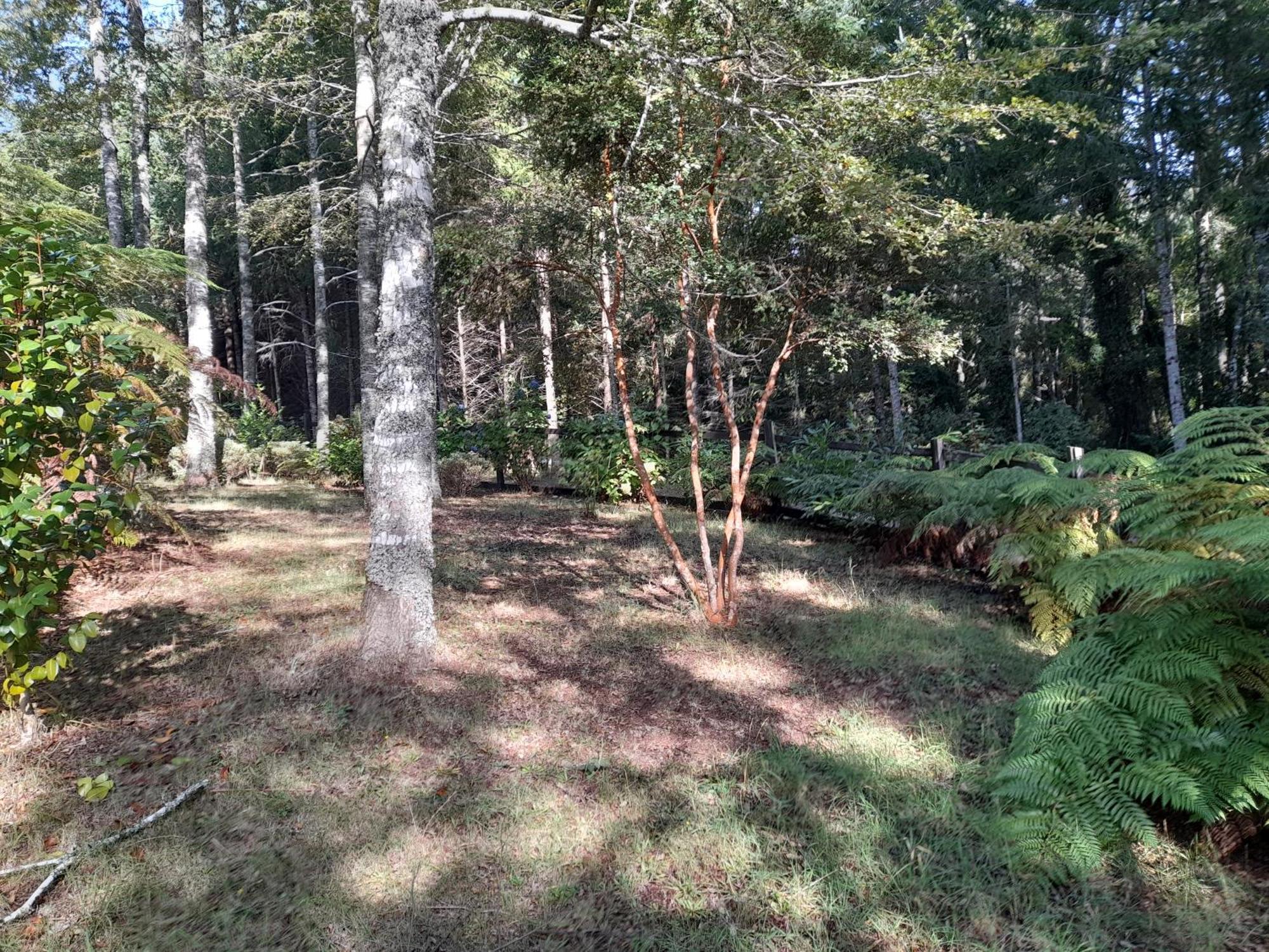 Relun L Chalé